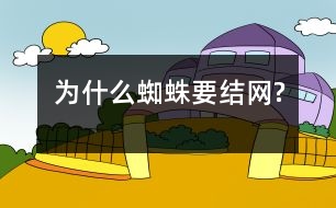 為什么蜘蛛要結網(wǎng)?