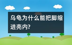 烏龜為什么能把腳縮進(jìn)殼內(nèi)?