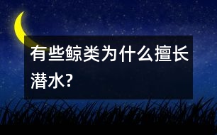 有些鯨類為什么擅長(zhǎng)潛水?