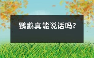 鸚鵡真能說(shuō)話(huà)嗎?