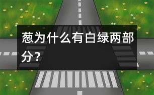 蔥為什么有白、綠兩部分？