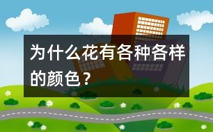 為什么花有各種各樣的顏色？