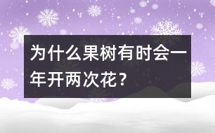 為什么果樹(shù)有時(shí)會(huì)一年開(kāi)兩次花？