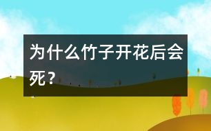 為什么竹子開花后會死？