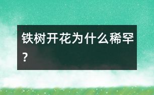 鐵樹(shù)開(kāi)花為什么稀罕？