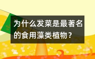 為什么發(fā)菜是最著名的食用藻類植物？