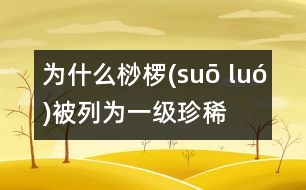 為什么桫欏(suō luó)被列為一級(jí)珍稀植物？