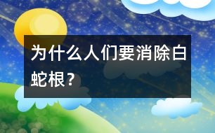 為什么人們要消除白蛇根？