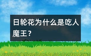 日輪花為什么是“吃人魔王”？