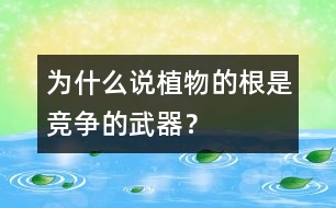 為什么說植物的根是競爭的武器？