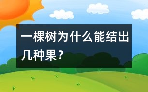 一棵樹為什么能結(jié)出幾種果？