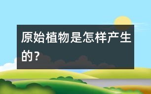 原始植物是怎樣產(chǎn)生的？