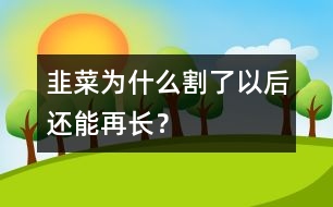 韭菜為什么割了以后還能再長？