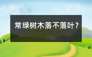 常綠樹木落不落葉？