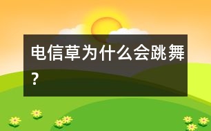 電信草為什么會跳舞？