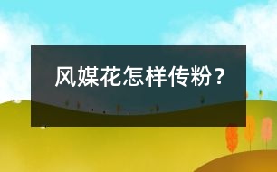 風(fēng)媒花怎樣傳粉？