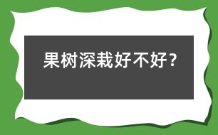 果樹深栽好不好？