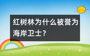 紅樹林為什么被譽(yù)為“海岸衛(wèi)士”？