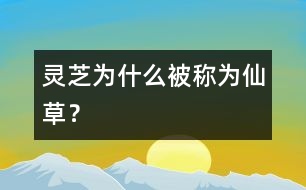 靈芝為什么被稱為“仙草”？