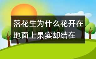 落花生為什么花開在地面上,果實(shí)卻結(jié)在地下？