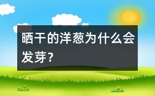 曬干的洋蔥為什么會(huì)發(fā)芽？