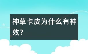 神草“卡皮”為什么有神效？
