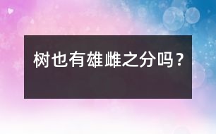 樹也有雄雌之分嗎？
