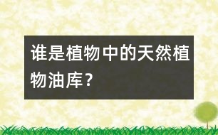 誰是植物中的“天然植物油庫”？
