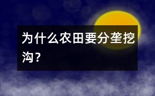 為什么農(nóng)田要分壟挖溝？