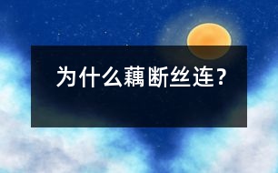 為什么藕斷絲連？