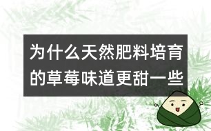 為什么天然肥料培育的草莓味道更甜一些？