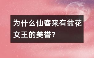 為什么仙客來有“盆花女王”的美譽？