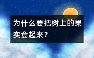 為什么要把樹(shù)上的果實(shí)套起來(lái)？