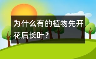 為什么有的植物先開花后長葉？