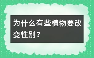 為什么有些植物要改變性別？