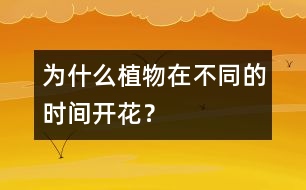 為什么植物在不同的時間開花？