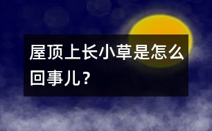 屋頂上長小草是怎么回事兒？
