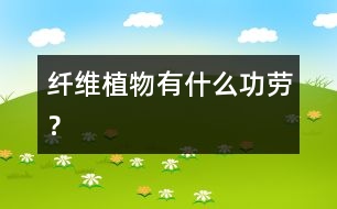 纖維植物有什么功勞？