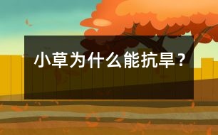 小草為什么能抗旱？