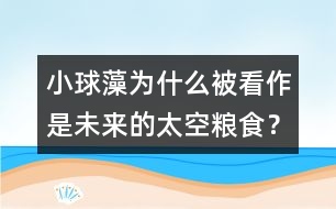 小球藻為什么被看作是未來的太空糧食？