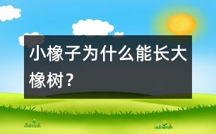 小橡子為什么能長大橡樹？