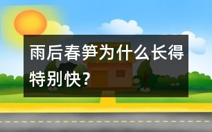 雨后春筍為什么長(zhǎng)得特別快？