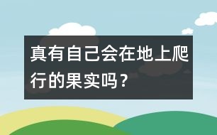 真有自己會(huì)在地上爬行的果實(shí)嗎？