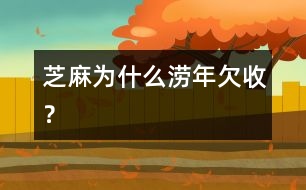 芝麻為什么澇年欠收？