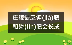 莊稼缺乏鉀(jiǎ)肥和磷(lín)肥會(huì)長(zhǎng)成什么樣？