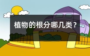 植物的根分哪幾類？