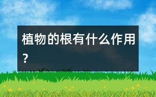 植物的根有什么作用？