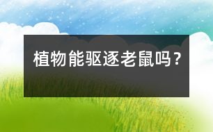 植物能驅(qū)逐老鼠嗎？