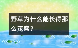 野草為什么能長得那么茂盛？