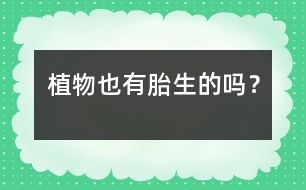 植物也有胎生的嗎？